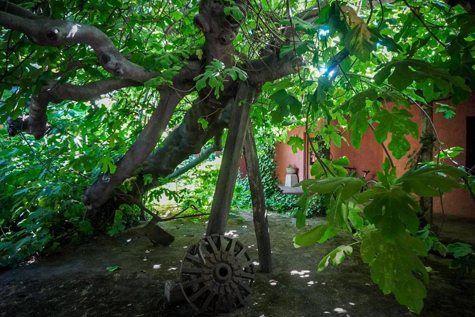 Bed and Breakfast Entre Vinas Санта-Крус Экстерьер фото